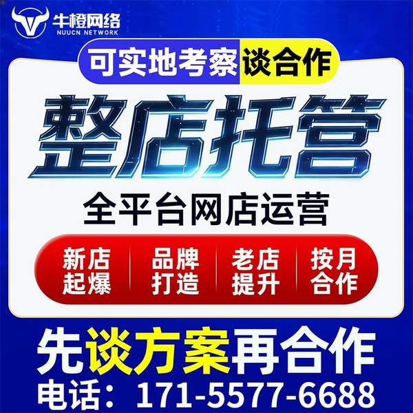 莆田电商代运营