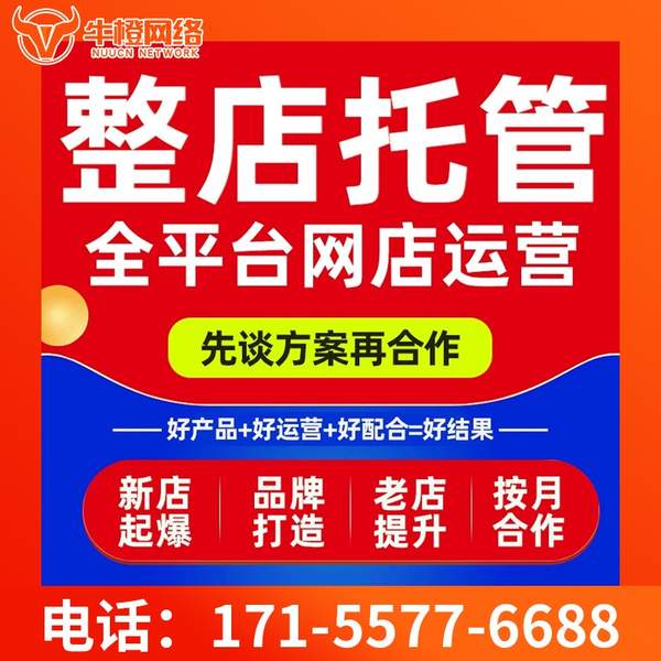莆田电商代运营