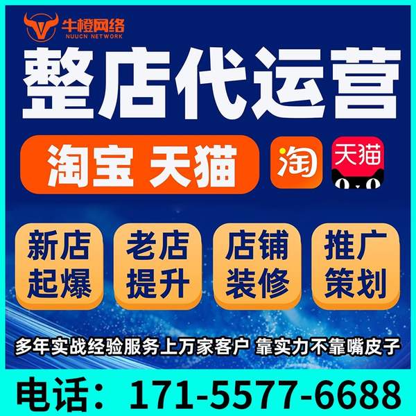 莆田电商代运营